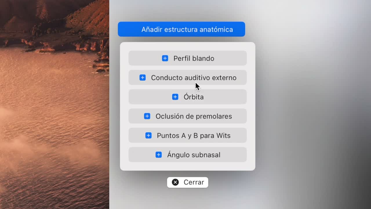 Cephalometric tracing on iPadOS - screenshot 5